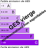 GESvierge