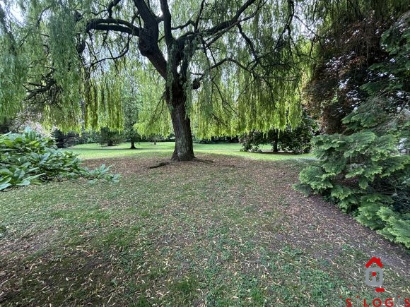 Vignette
